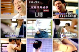 [DVD音乐专辑碟][张学友 – 个人档案3][KTV][DVD-ISO][4.2G+3.99G][百度网盘]