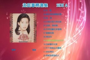 [DVD音乐专辑碟][孟庭苇精选][2DVD-ISO4.37G][百度网盘]