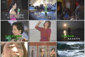 [DVD音乐专辑碟][邓丽君 – 优必胜精选][KTV][2DVD-ISO][2.84G+3.08G][百度网盘]