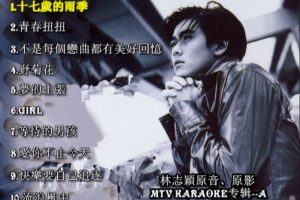 [DVD音乐专辑碟][林志颖 – 原声原影卡拉OK专辑][KTV][2DVD-ISO][3.13G+3.09G][百度网盘]