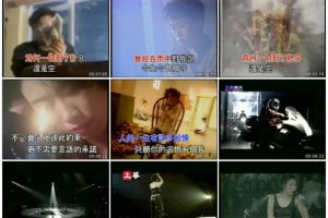 [DVD音乐专辑碟][李翊君-多情人][KTV][2DVD-ISO7.57G][百度网盘]