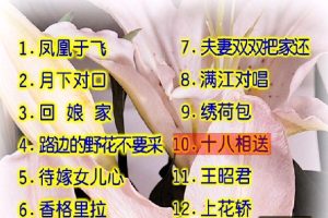 [DVD音乐专辑碟][卓依婷 – 柔情小调][KTV][DVD-ISO][3G][百度网盘]