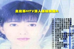 [DVD音乐专辑碟][孟庭苇 – 上华][KTV][DVD-ISO2.64G][百度网盘]