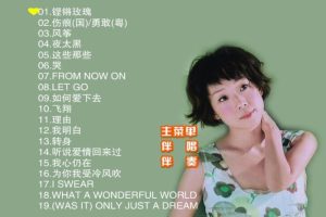 [DVD音乐专辑碟][林忆莲 – 滚石原装MTV卡拉OK系列35][KTV][DVD-ISO][3.95G][百度网盘]