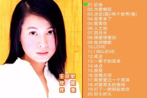 [DVD音乐专辑碟][刘若英 – 滚石原装MTV卡拉OK系列13][KTV][DVD-ISO][3.89G][百度网盘]