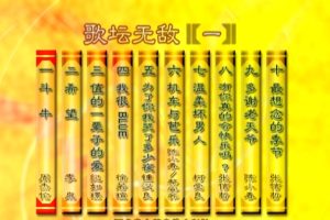 [DVD音乐专辑碟][群星 – 歌坛无敌01][KTV][ISO][3.45G][百度网盘]