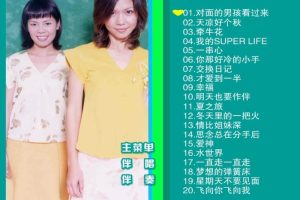 [DVD音乐专辑碟][锦绣二重唱 – 滚石原装MTV卡拉OK系列26][KTV][DVD-ISO][3.85G][百度网盘]