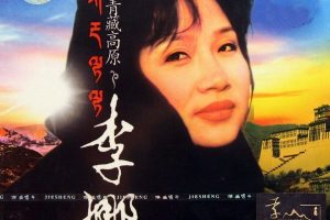 [DVD音乐专辑碟][李娜精选集 绝版珍藏 2004 AUDIO][DVD ISO][2.40G][百度网盘]