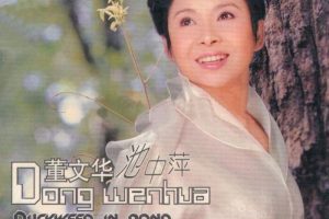 [DVD音乐专辑碟][董文华 – 池中萍][DVD ISO][3.67G][百度网盘]