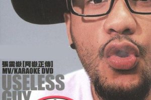 [DVD音乐专辑碟][张震岳 阿岳正传 useless guy MV+Karaoke][DVD ISO][7.77G][百度网盘]