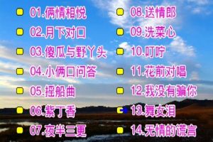 [DVD音乐专辑碟][庄学忠 – 情歌对唱][花仙子KTV][2DVDISO][3.15G+2.68G][百度网盘]