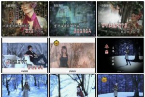 [DVD音乐专辑碟][刘秋仪 – 冬恋][KTV][2DVDISO][3.09G+3.17G][百度网盘]