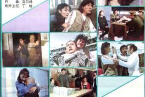 [1994][中国大陆]《秃探与俏妞》[国语中字][4.81GB][百度网盘]