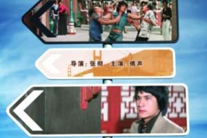 [1997][中国大陆]《唐人街功夫小子》[国语中字][4.78GB][百度网盘]