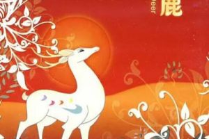 [1981][中国大陆] 《九色鹿 》[国语中字][1.82GB][ 百度网盘]