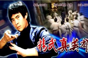 [2006][中国大陆] 《精武真英雄》[国语中字][5.14GB][ 百度网盘]