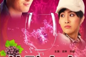 [2010][中国大陆] 《佳酿之恋》[国语中字][5.08GB][ 百度网盘]