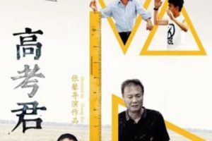 [2016][中国大陆]《Hi，高考君》[国语中字][5.19GB][ 百度网盘]