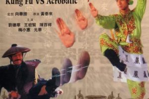 [1990][中国大陆]《摩登如来神掌》[国语中字][1.85GB][ 百度网盘]