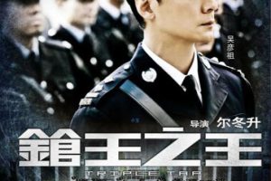 [2010][中国大陆]《枪王之王》[国语中字][2.70GB][ 百度网盘]