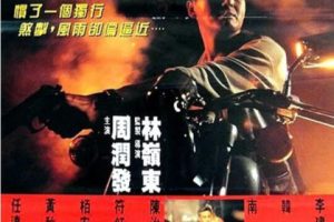 [1992][中国大陆]《侠盗高飞》[国语中字][1.52GB][ 百度网盘]