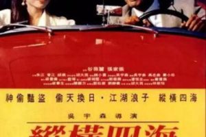 [1991][中国大陆]《纵横四海》[国语中字][8.17GB][ 百度网盘]