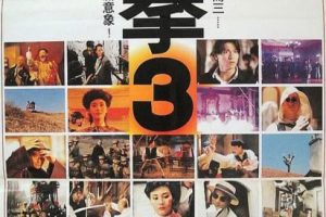 [1994][中国大陆]《醉拳3 醉拳Ⅲ》[国语中字][2.03GB][ 百度网盘]