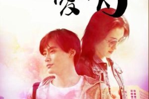 [2015][中国大陆]《橙味爱情》[国语中字][4.90GB][ 百度网盘]