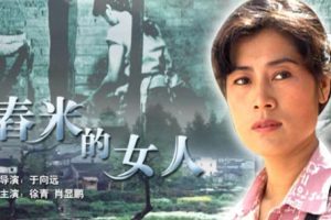 [2004][中国大陆]《舂米的女人》[国语中字][4.89GB][ 百度网盘]