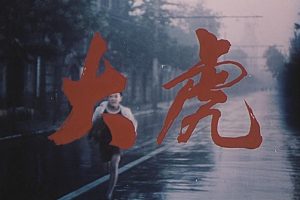 [1981][中国大陆]《大虎》[国语中字][2.08GB][ 百度网盘]