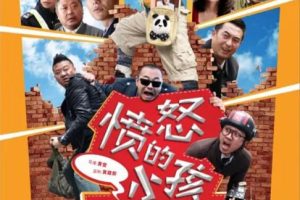 [2013][中国大陆]《愤怒的小孩》[国语中字][4.88GB][ 百度网盘]