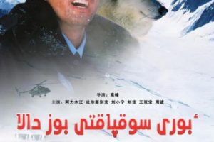 [2007][中国大陆]《风雪狼道》[国语中字][4.75GB][ 百度网盘]