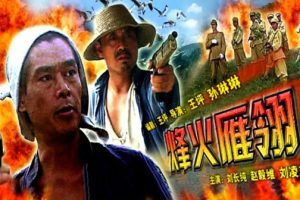 [2005][中国大陆]《烽火雁翎》[国语中字][5.38GB][ 百度网盘]