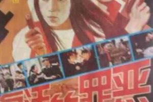 [1994][中国大陆]《复活的罪恶》[国语中字][1.72GB][ 百度网盘]