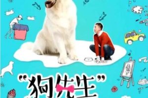 [2018][中国大陆]《狗先生追爱记》[国语中字][4.59GB][ 百度网盘]