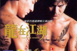 [1998][香港]《龙在江湖_A True Mob Story》[国粤双语中字][MKV_3.35G][刘德华_梁咏琪_关秀媚_方中信]