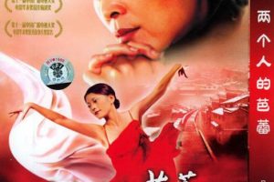 [2005年][中国内地]《两个人的芭蕾_Duet》[倪萍_李璐_奚美娟][国语_无字][MKV_532M]