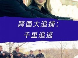 [2017年][大陆]《跨国大追捕：千里追逃》720P[MKV][百度盘]