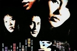 [1991][香港]《黑雪》[张曼玉 张学友 姜大卫][国粤_简字][MKV_1.37G]