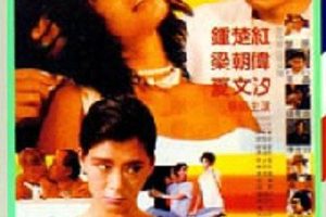 [1985][香港]《花心红杏》[粤语中字][mkv_960m]