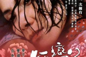 [2005][香港]《孤恋花》[国语无字][avi_690m]