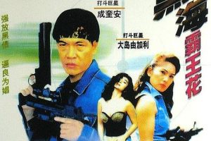 [1990][香港]《黑海霸王花》[国语中字][MKV_1.35GB][惠英红_成奎安_大岛由加利]