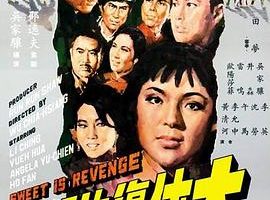 [1967][香港]《大侠复仇记》[国语中字][李菁_于倩_岳华_井淼_何藩][mp4_320m]