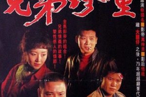 [1991][香港]《大哥大2大哥大续集》[国粤双语中字][万梓良_恬妞_陈松勇][mkv_600m]