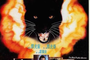 [1994][香港]《黑豹天下》[90云盘][动作][国语中字][1080i_TS_6.53G][BD][百度盘]