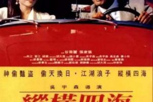 [中国香港][1991][剧情][纵横四海][国语中字][2.40G][百度网盘]