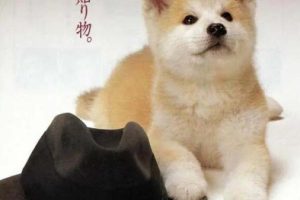 [日本][1987][剧情][忠犬八公物语][国语中字][2.41G][百度网盘]