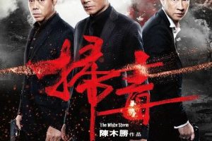 [2013][香港][扫毒][国粤双语中字][MKV][3.35GB][百度网盘]