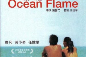 [2008][香港][一半海水一半火焰][国粤双音轨完整未删减版][MP4][2.34GB][百度网盘]