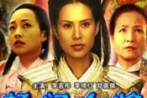 [2004][中国][杨门女将13_辕门斩子_杨门女将之辕门斩子][国语无字][3.86GB][百度网盘]